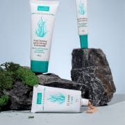 СС крем Fucoidan