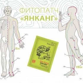 Фитопластир за тяло “Янканг”, 5 бр.