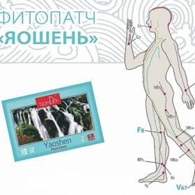 Фитопластир за тяло „Яошен форте”, 2 бр.