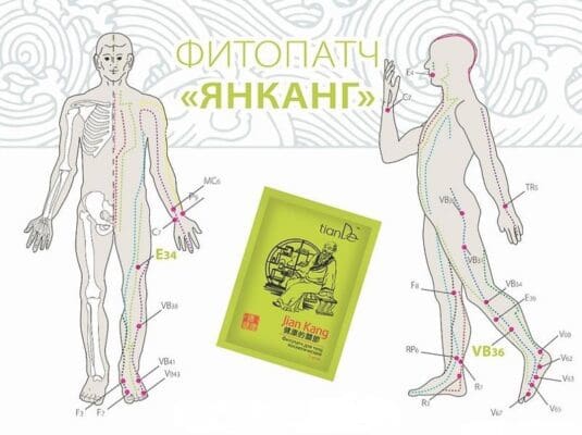 Фитопластир за тяло Янканг