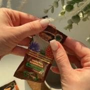 Разтворима кафе напитка с цикория и кедрови ядки