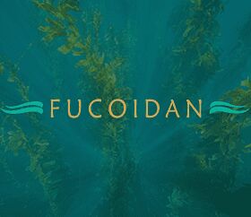 Серия "Fucoidan"