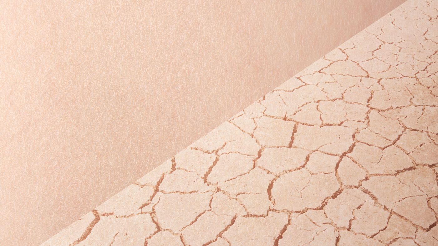 Vita Derm за кожа без стрес